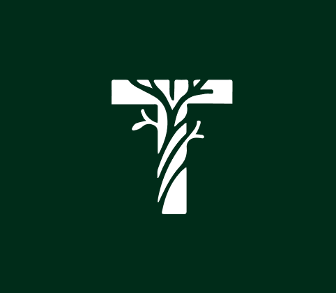 TRIIBE team